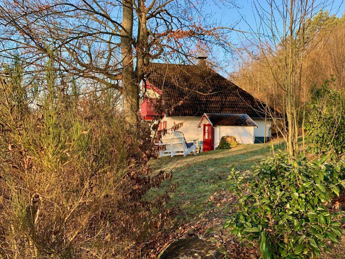 Idylle Seepark - Haus Mit Pool Und Fasssauna Kirchheim  Bagian luar foto